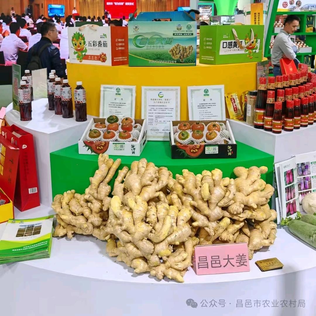 全国生姜交流技术。