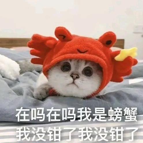 民工小吴