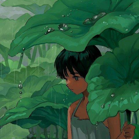 懒猫