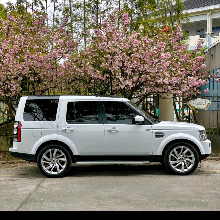 洋脑扳🍎🍎（盛氏藕业）