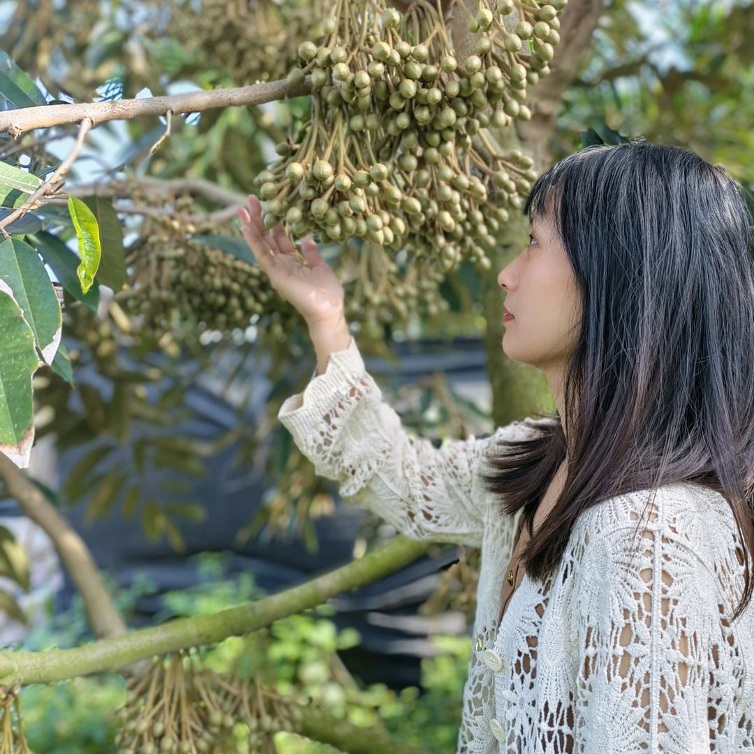 回村的姑娘(小号)