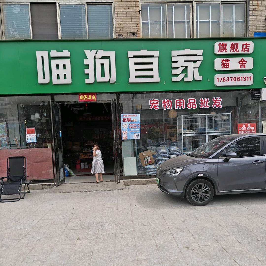 喵狗宜家宠物宠物服务团队（宁陵店）