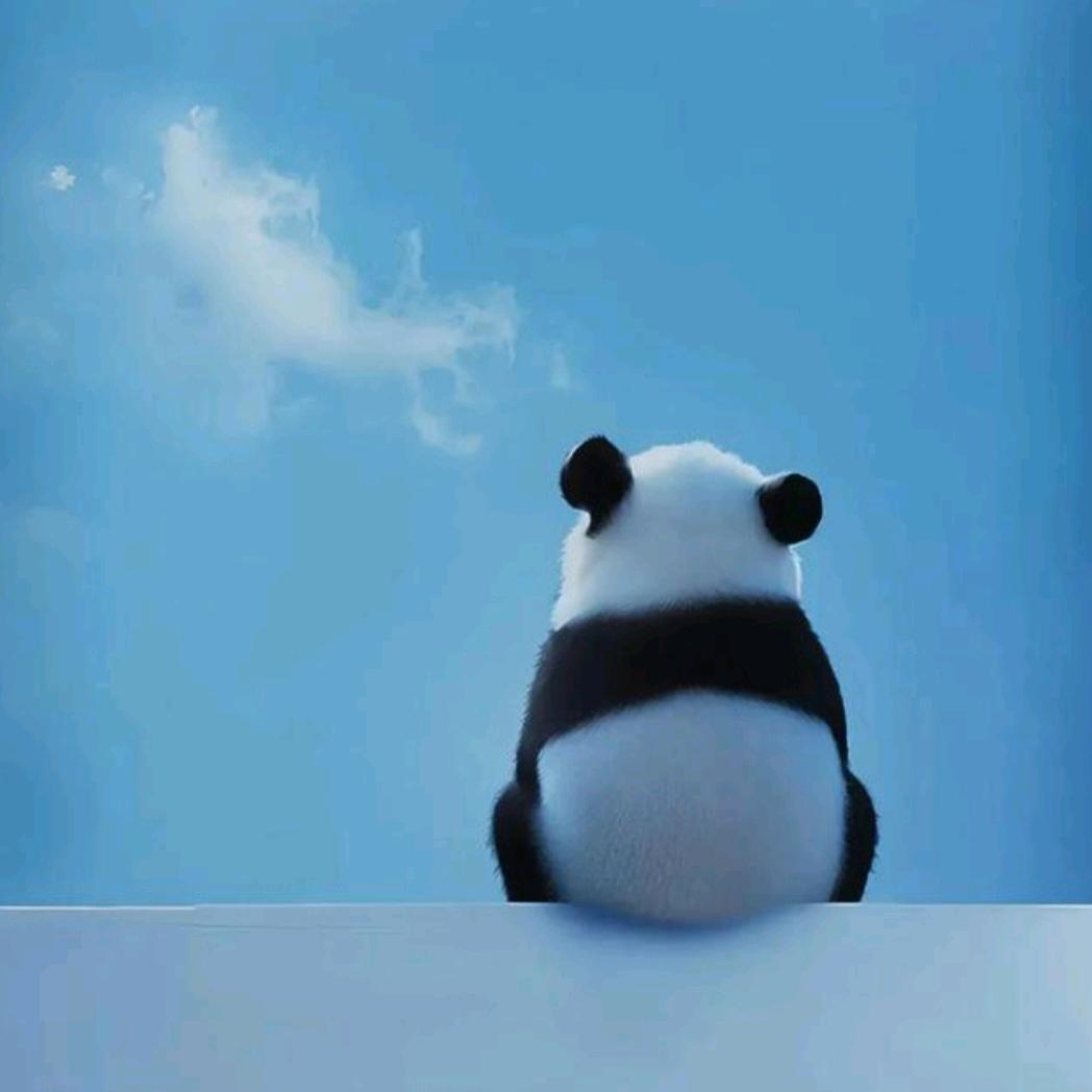 一直有你