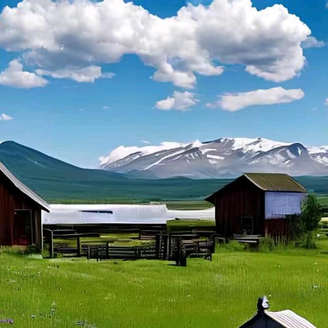 鑫隆建材五金店