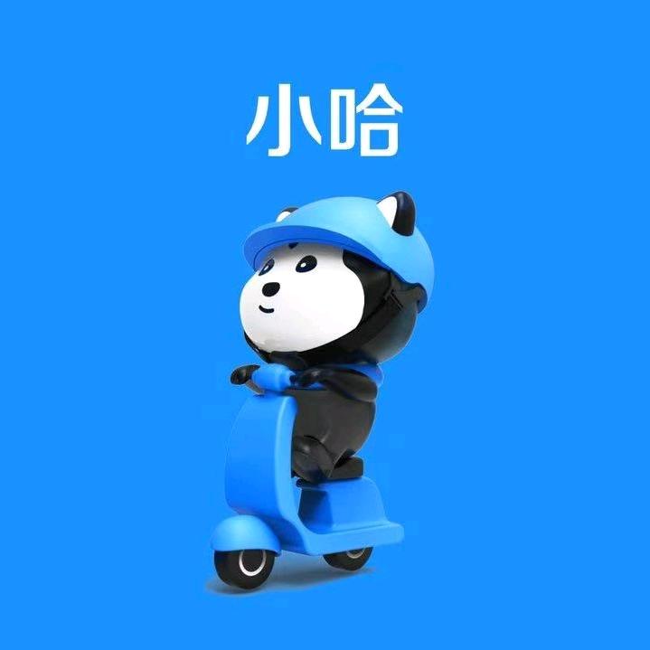 情沫沫