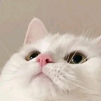 慕晨