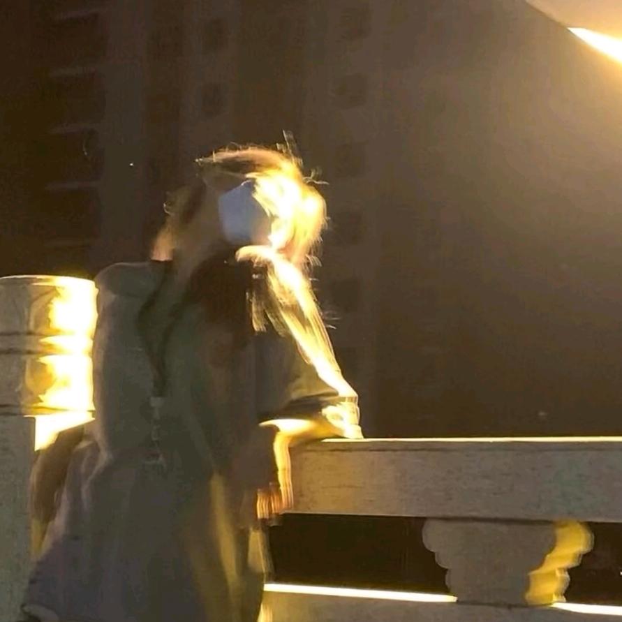 甜小姐 ´◡`