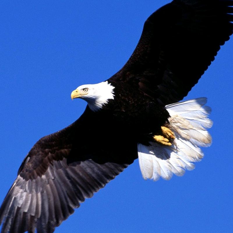 为世界添一丝精彩