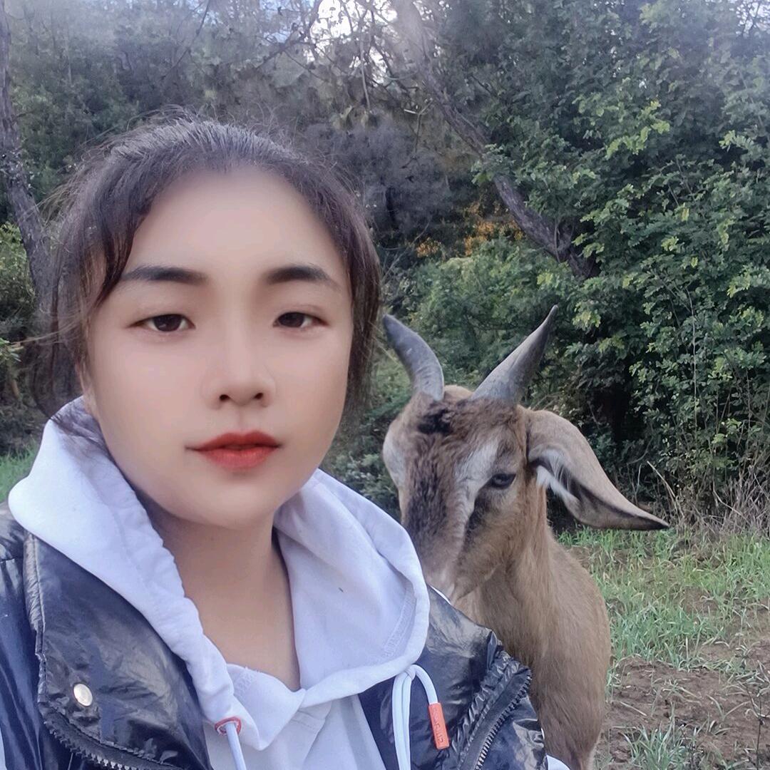 香飘飘放羊妹