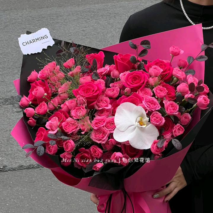 做衣柜的小姐姐