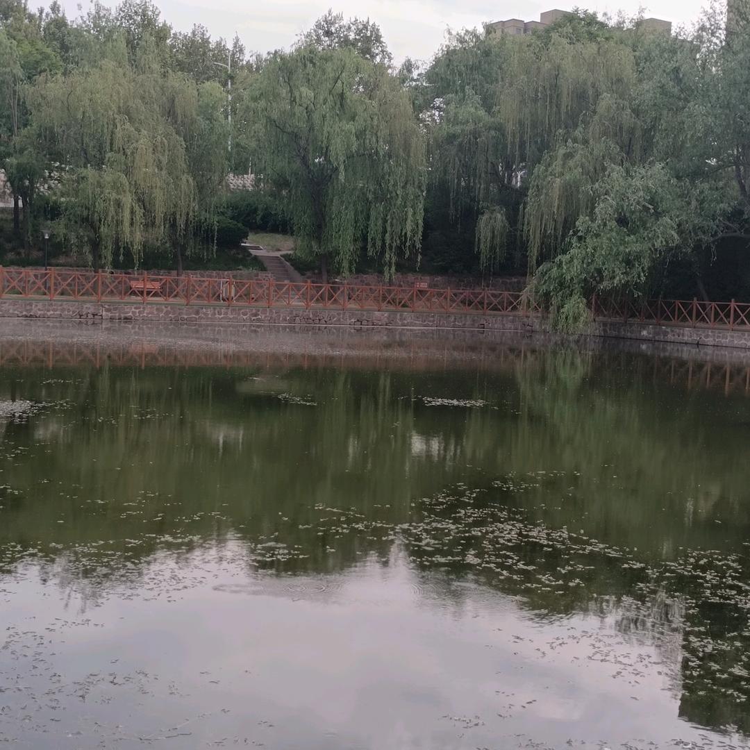 对自己说声抱歉