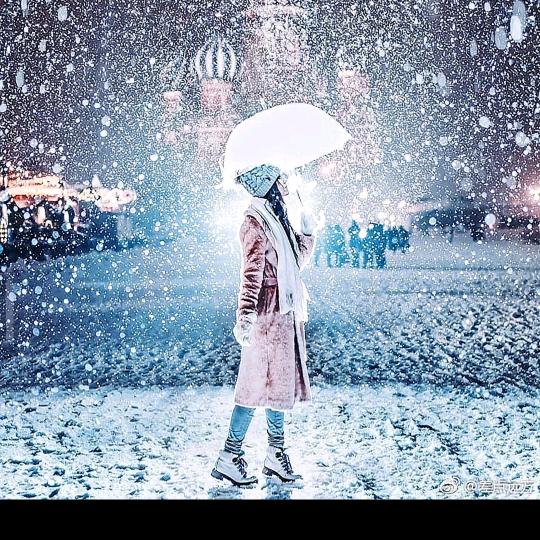 我要的不是雪