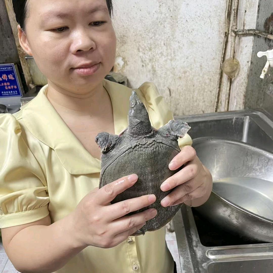 塘联柴火鸡刘姐