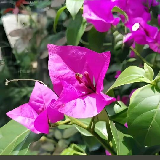 欣以人百货商行（严选好物）