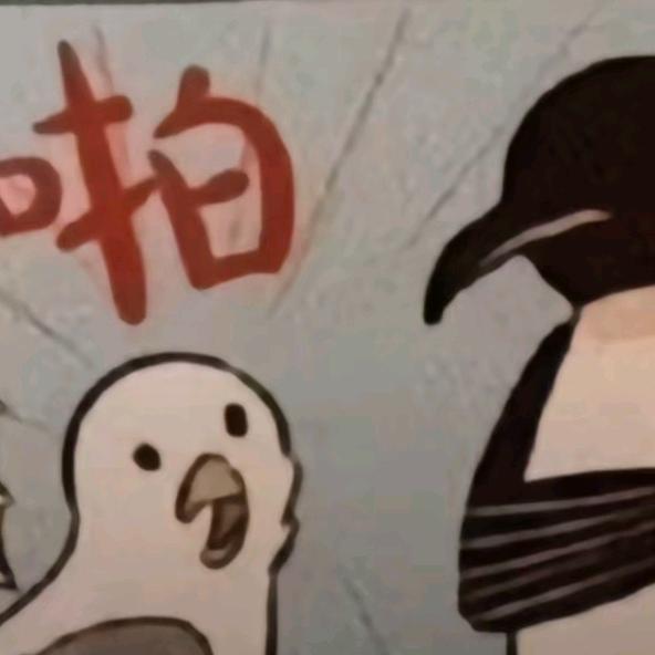 崩崩小圆帽