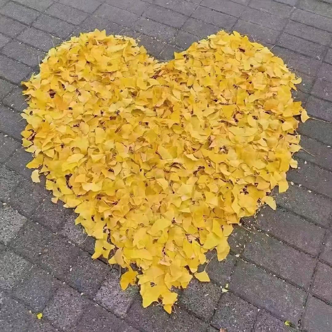 我心如水