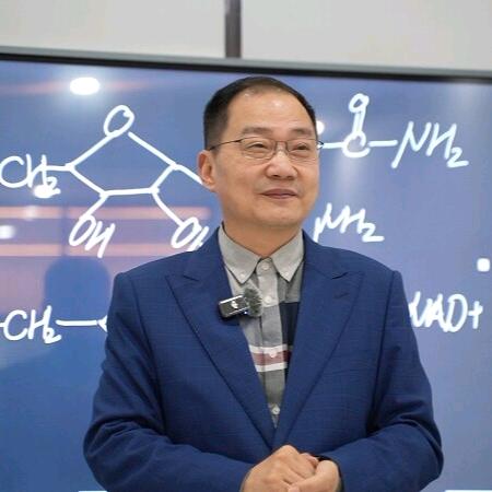 楼教授的生命世界