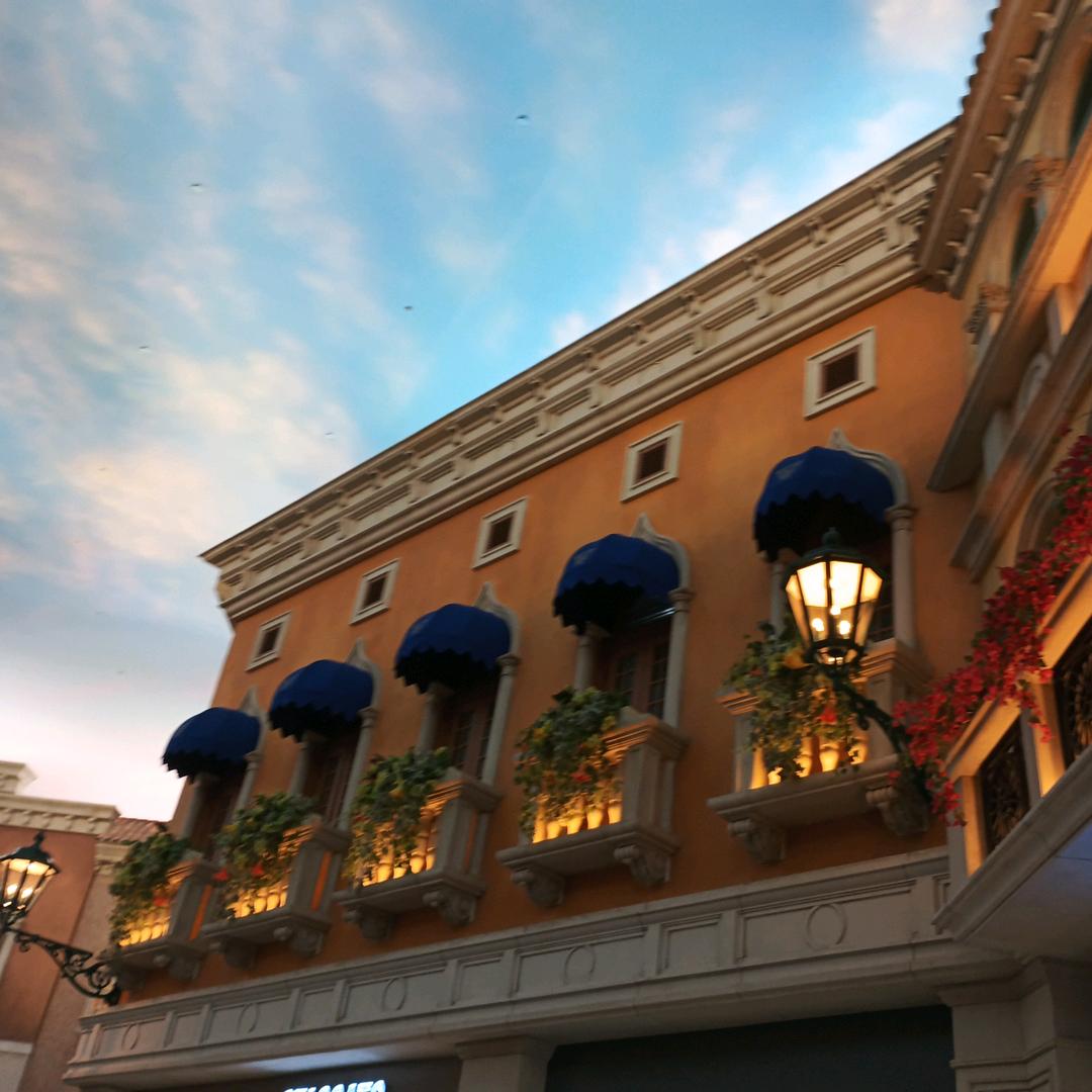 🌸🌸花花🌸🌸