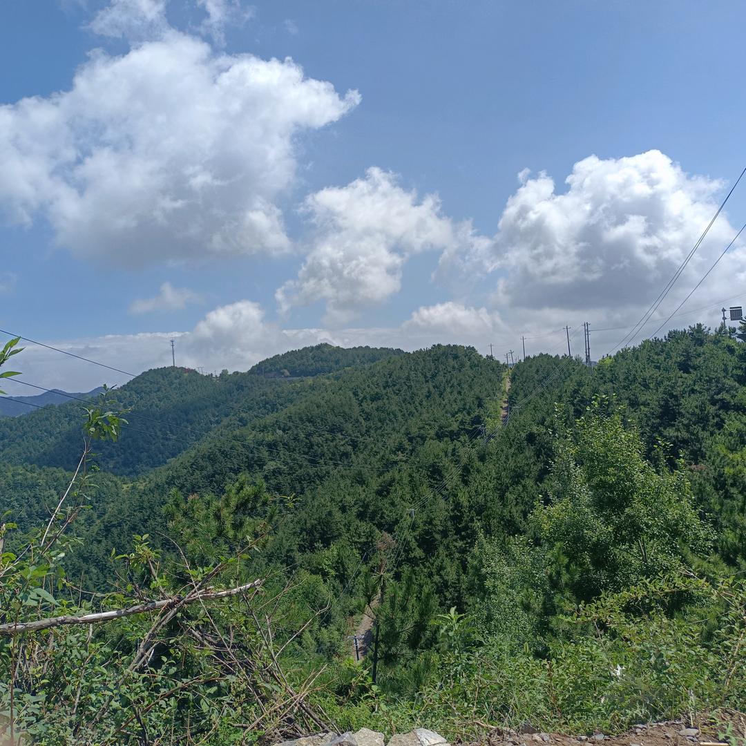 冯楼专业打井队上门承接业务