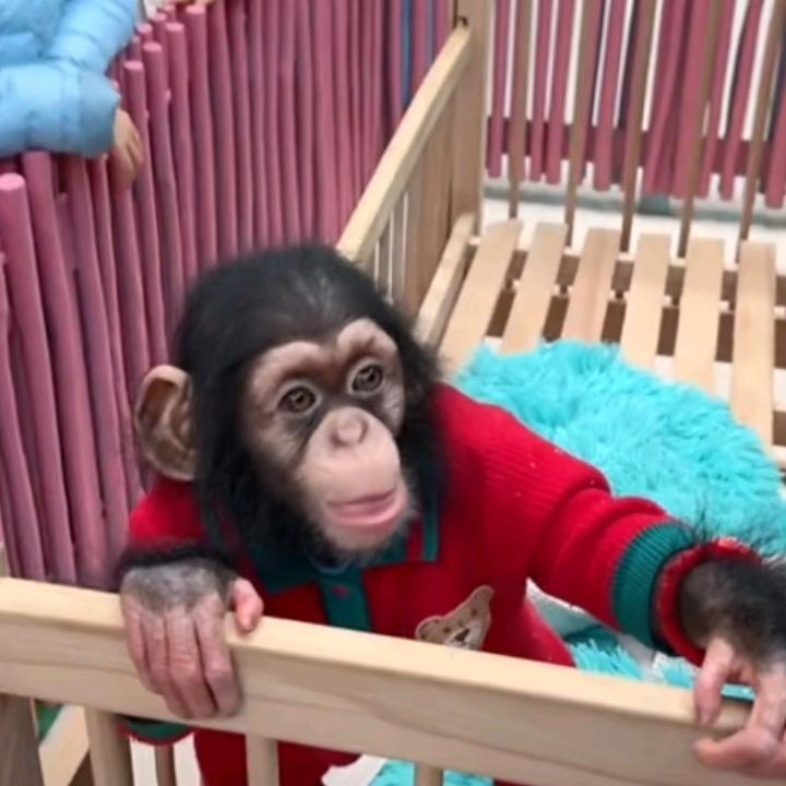 渺小
