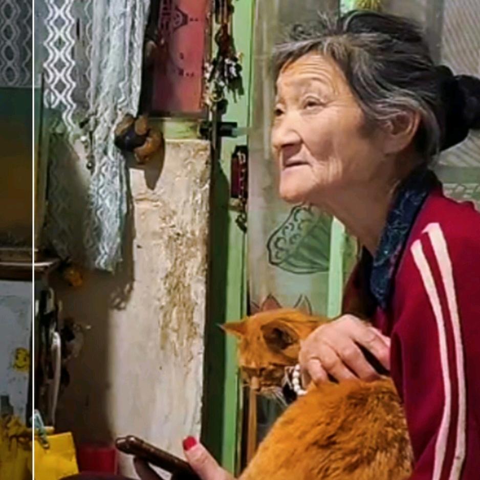 马品同（直播剪辑）