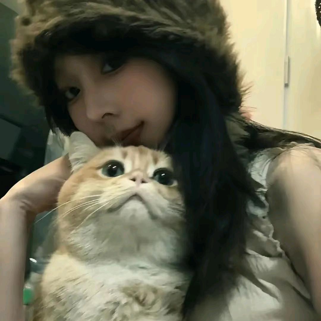 念安