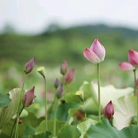 静姐爱生活