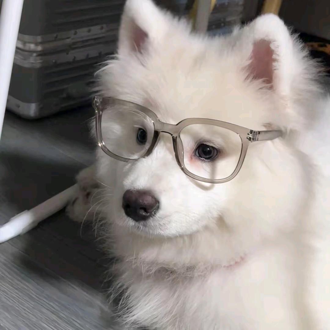 先睡为敬