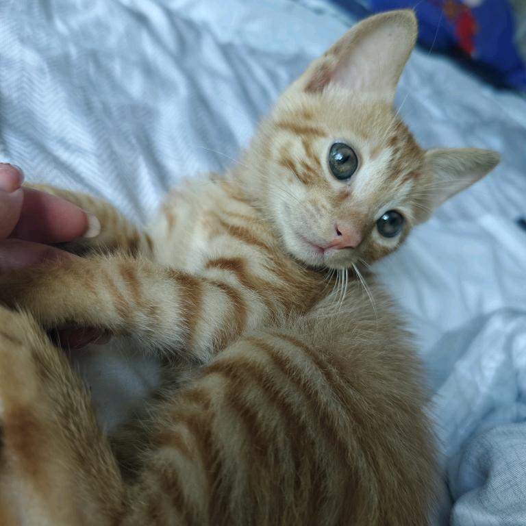 一生所爱在于你