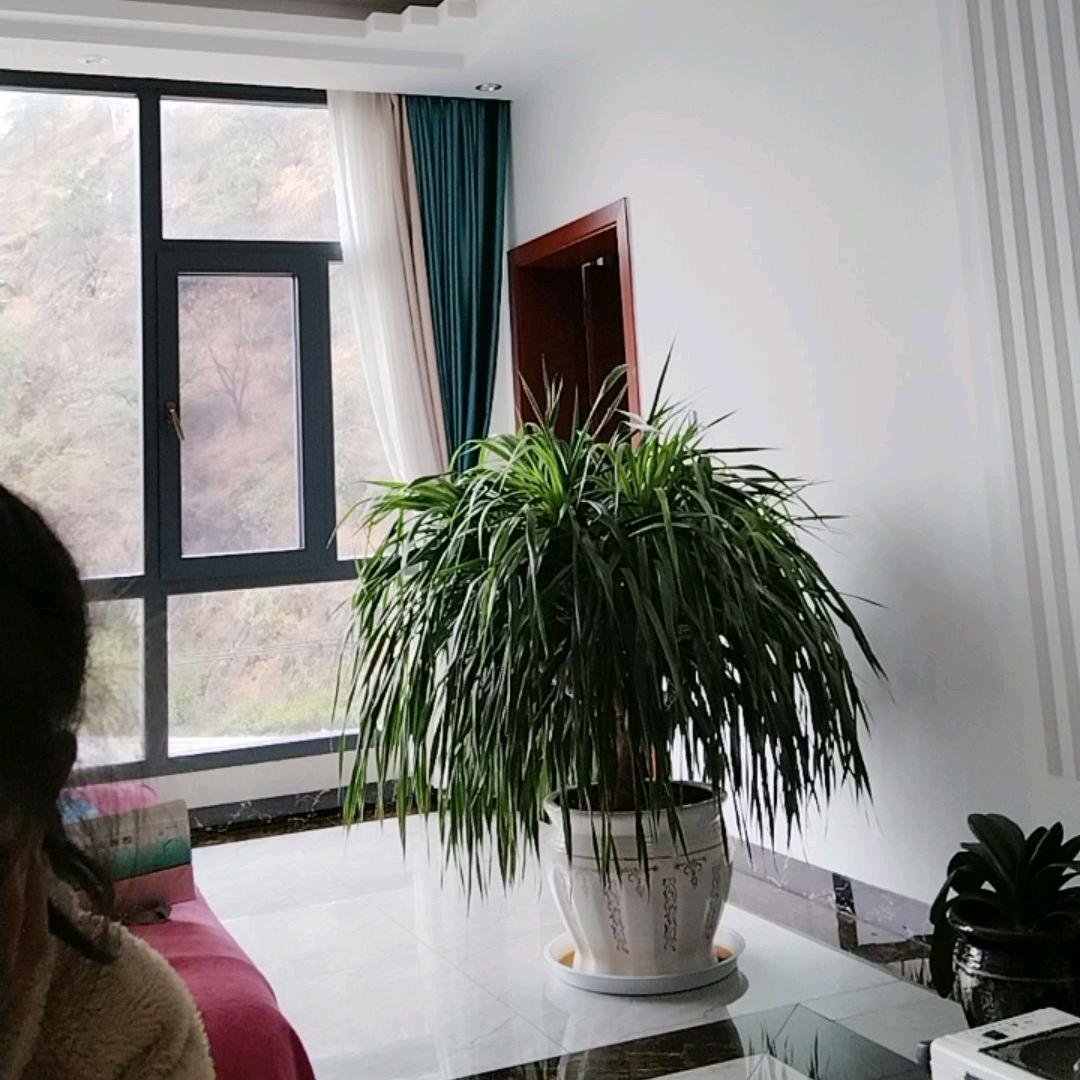 小米喳