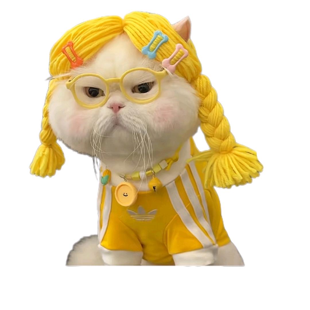 笙澜澜