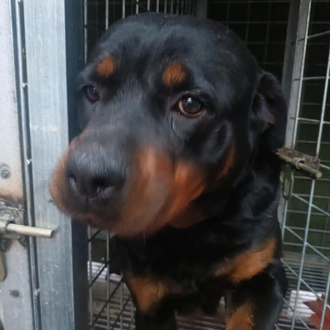 清香，酱香，都喜欢