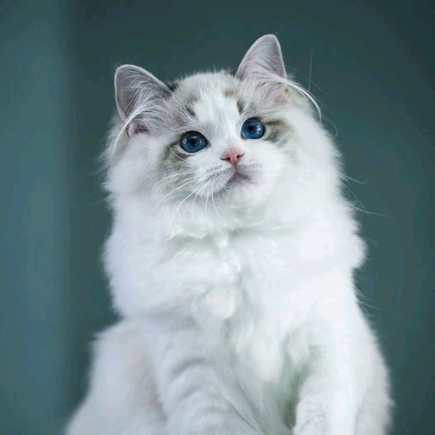 三栩百货源头直发