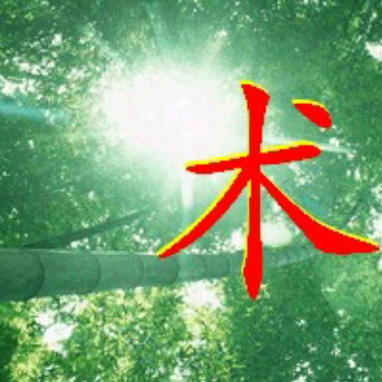 同心同德头像