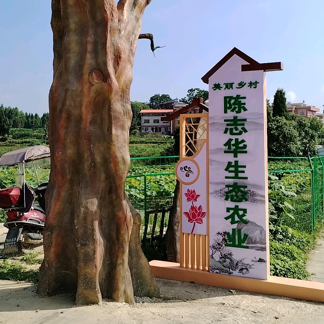 隆回县陈志华生态农业有限公司