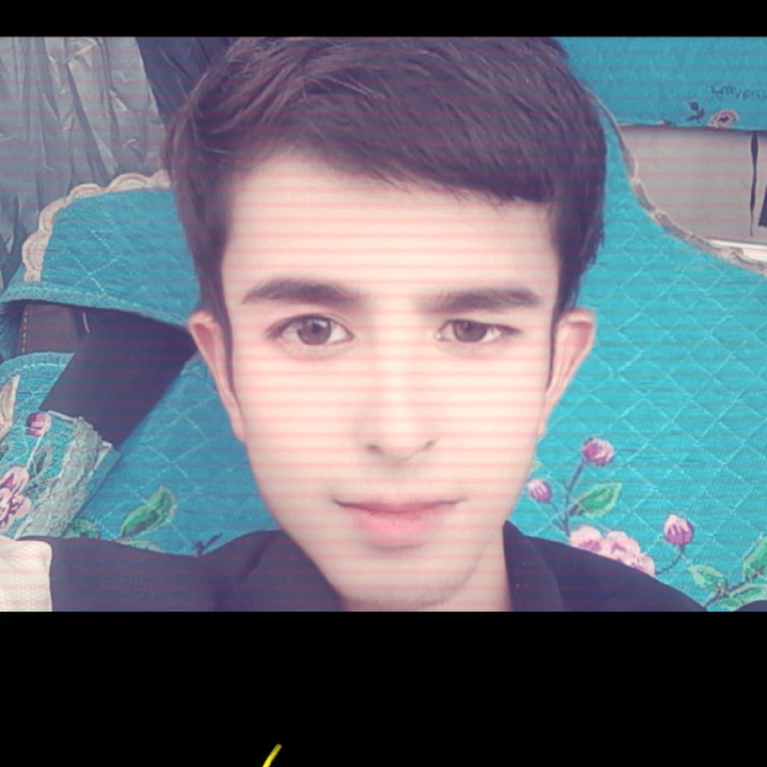三 SiZ