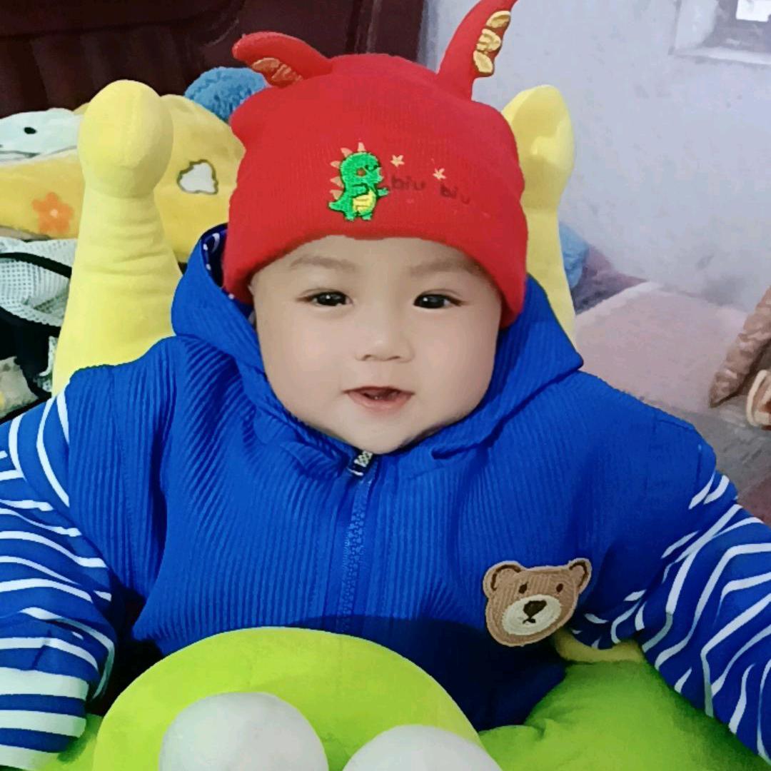 高价收购淘汰猪