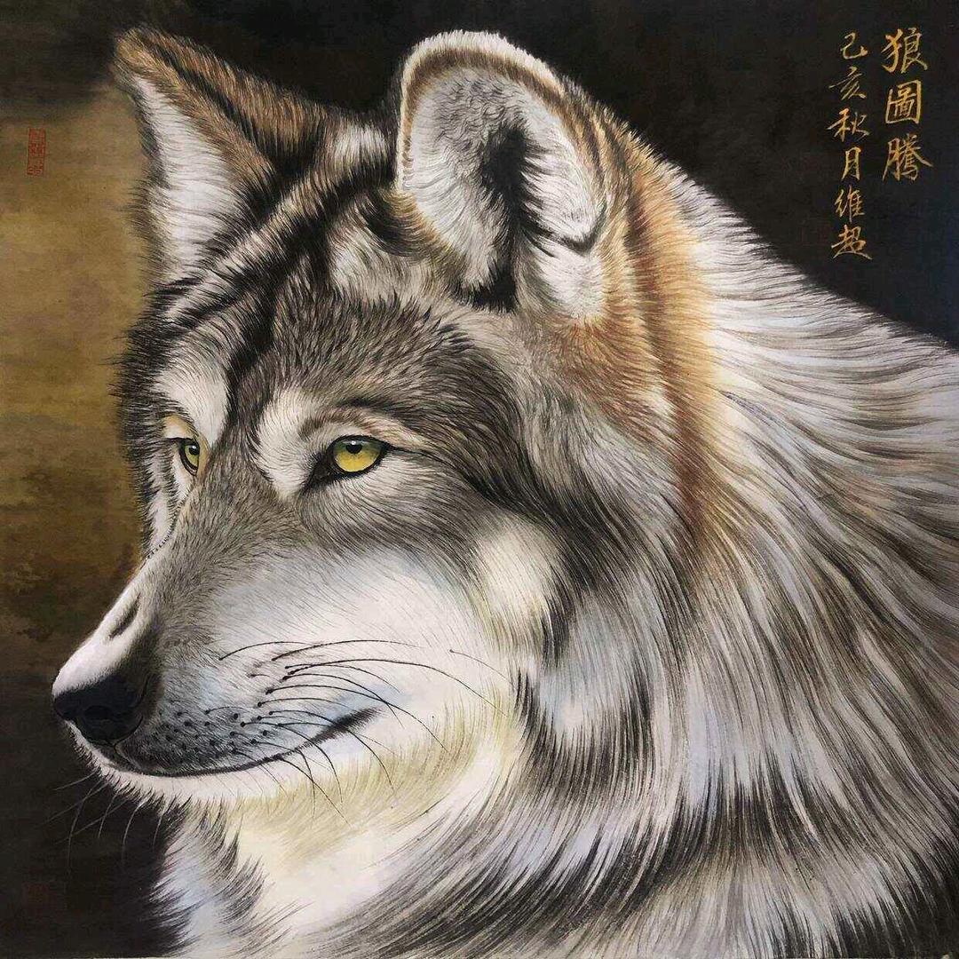 @@@狼🐺🐺