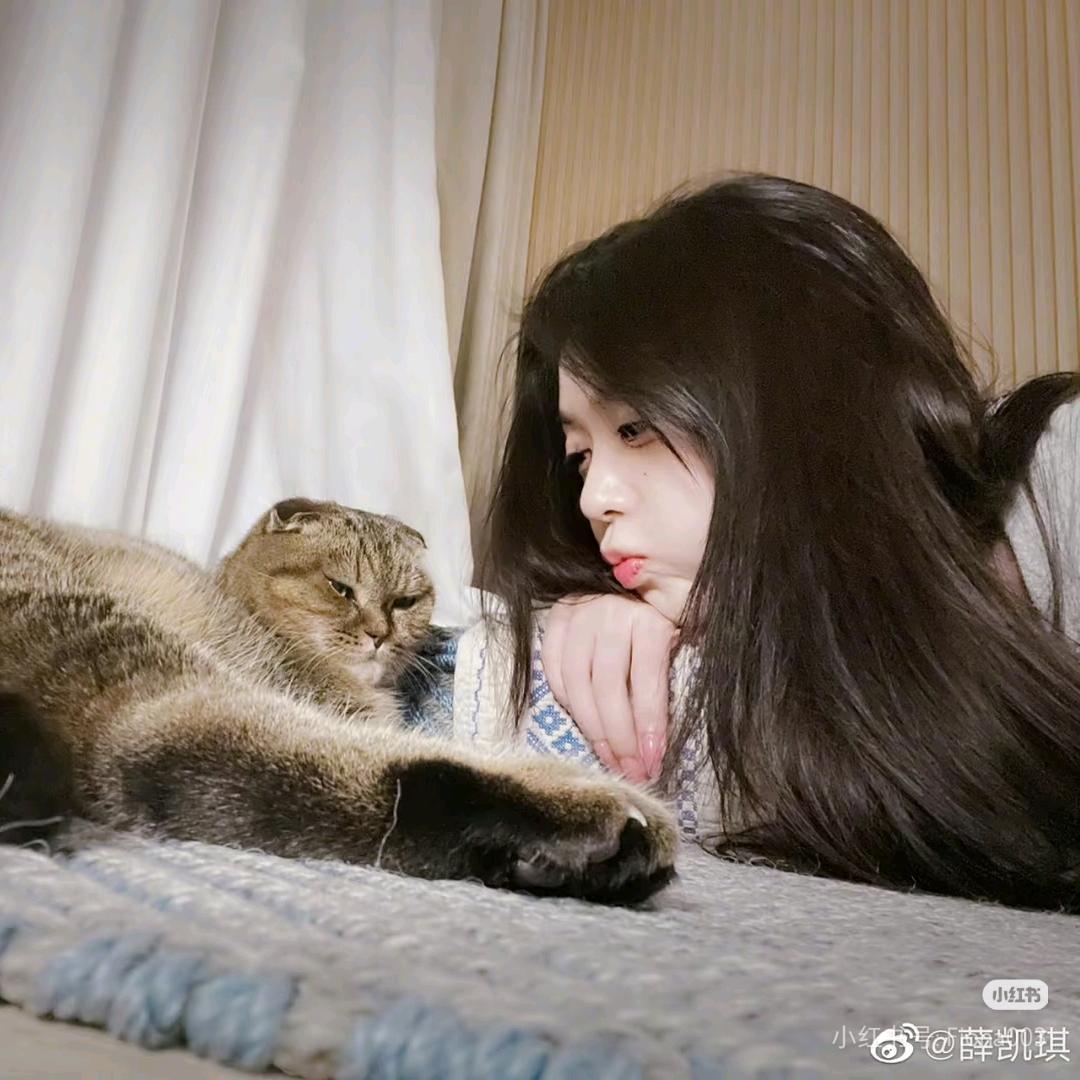 起司小卷饼-新闻女王开播版