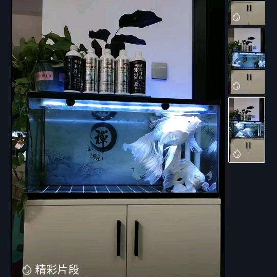 好鱼🐟
