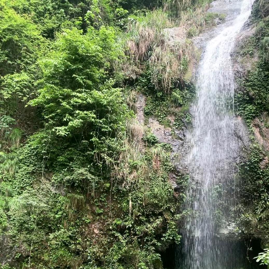 泰宁