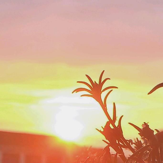 ✌︎²º²⁵☀️ྀི朱朱ゃ☜❦