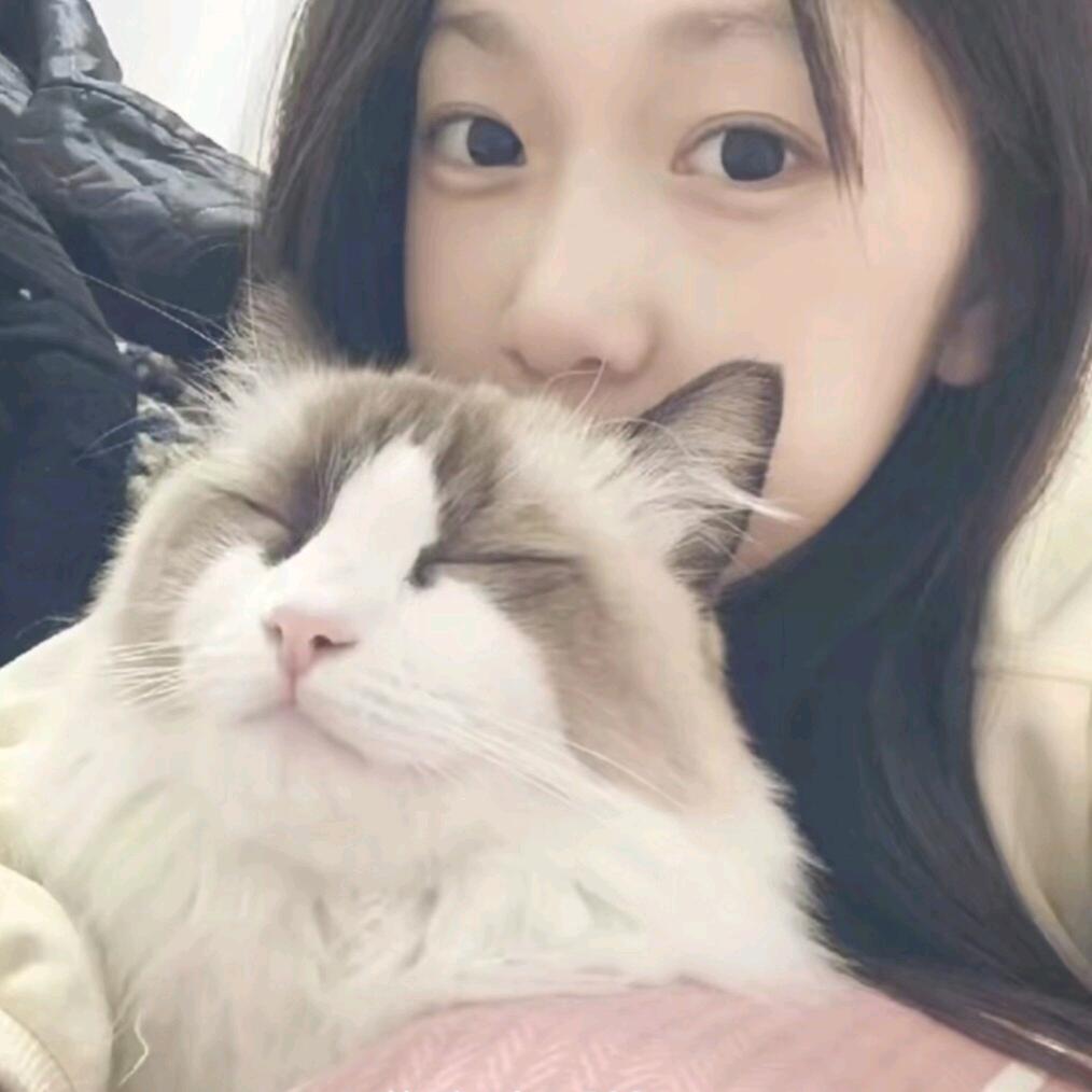 洛远