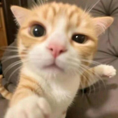 别熬夜了^