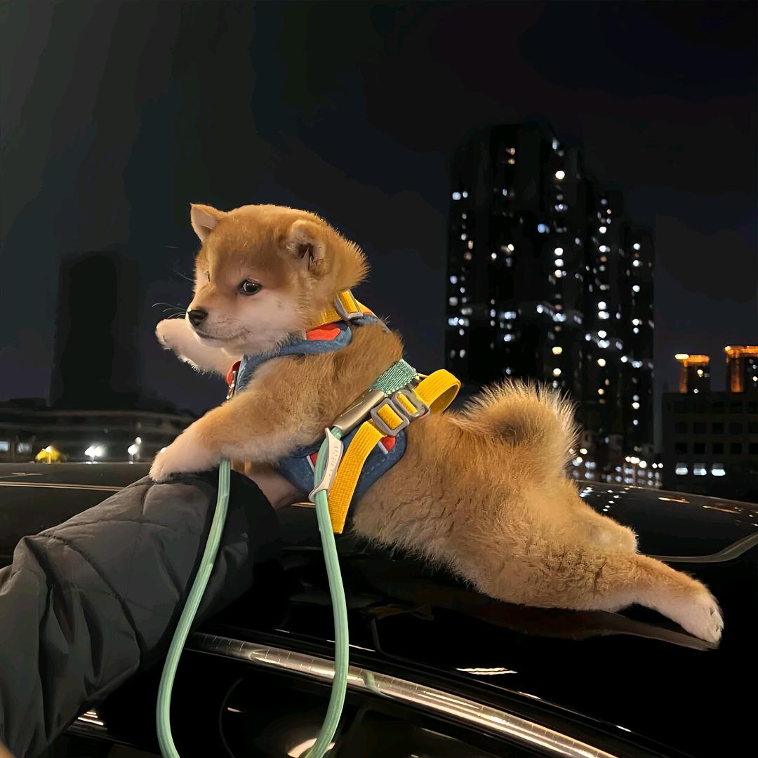 姐夫哥～