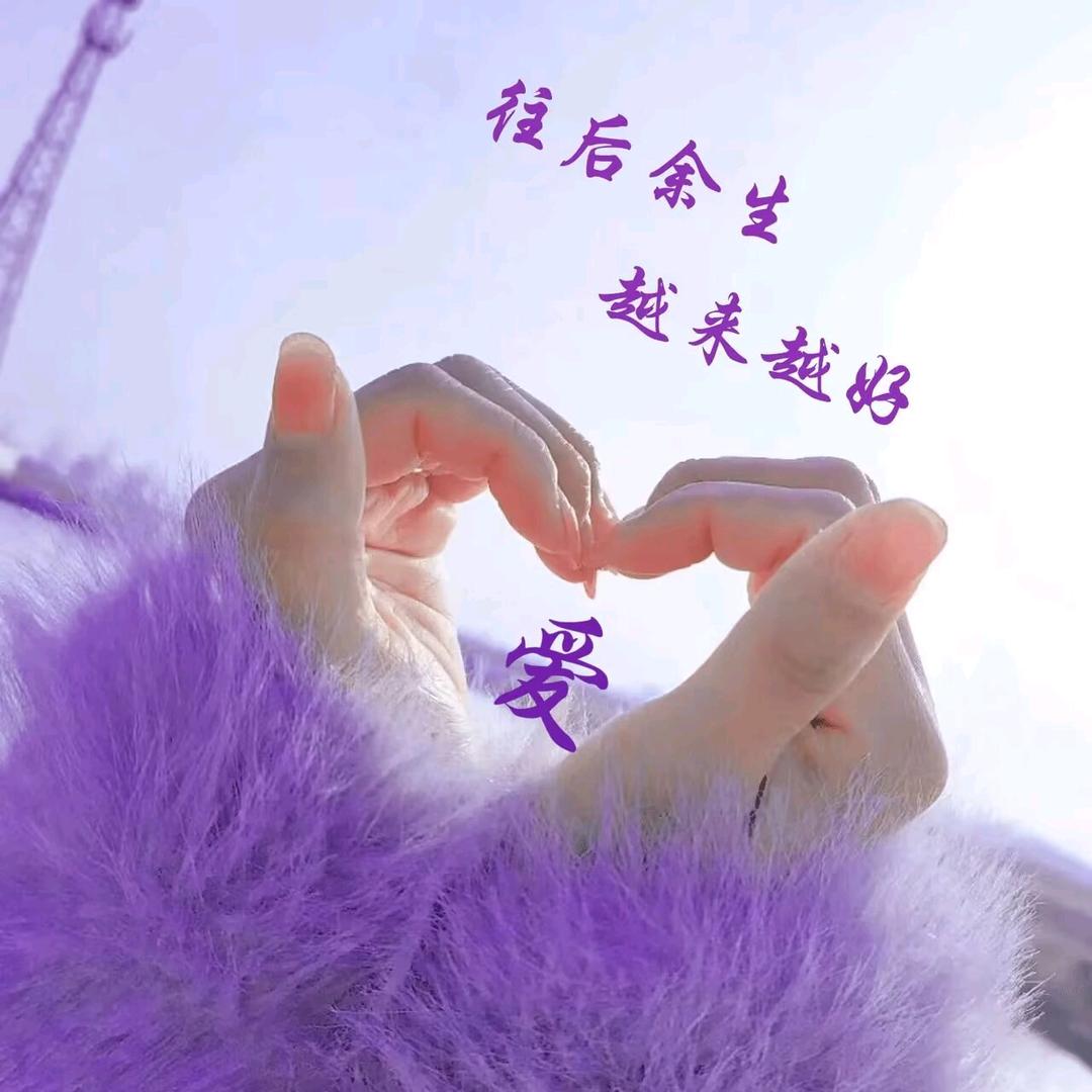 苦与甜🌹《拒私聊》🍎