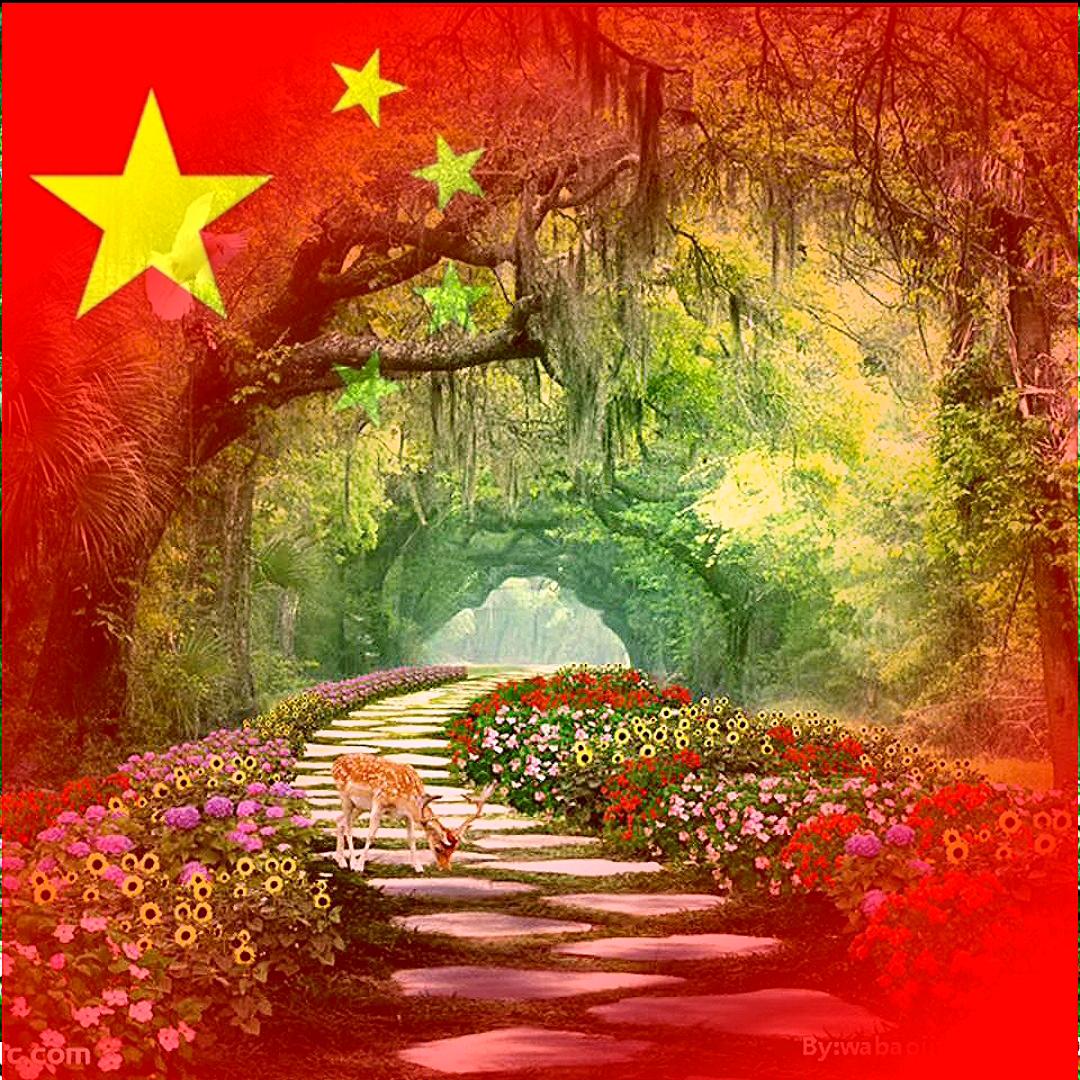 鸿运路开来