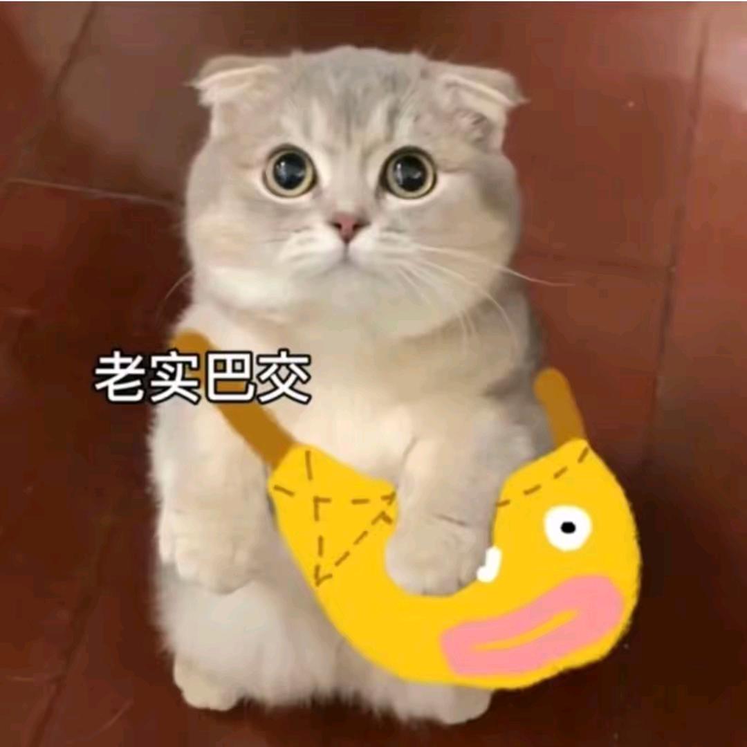 真实