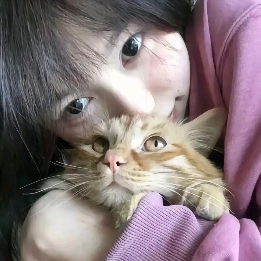 牛奶奥利奥ぁ