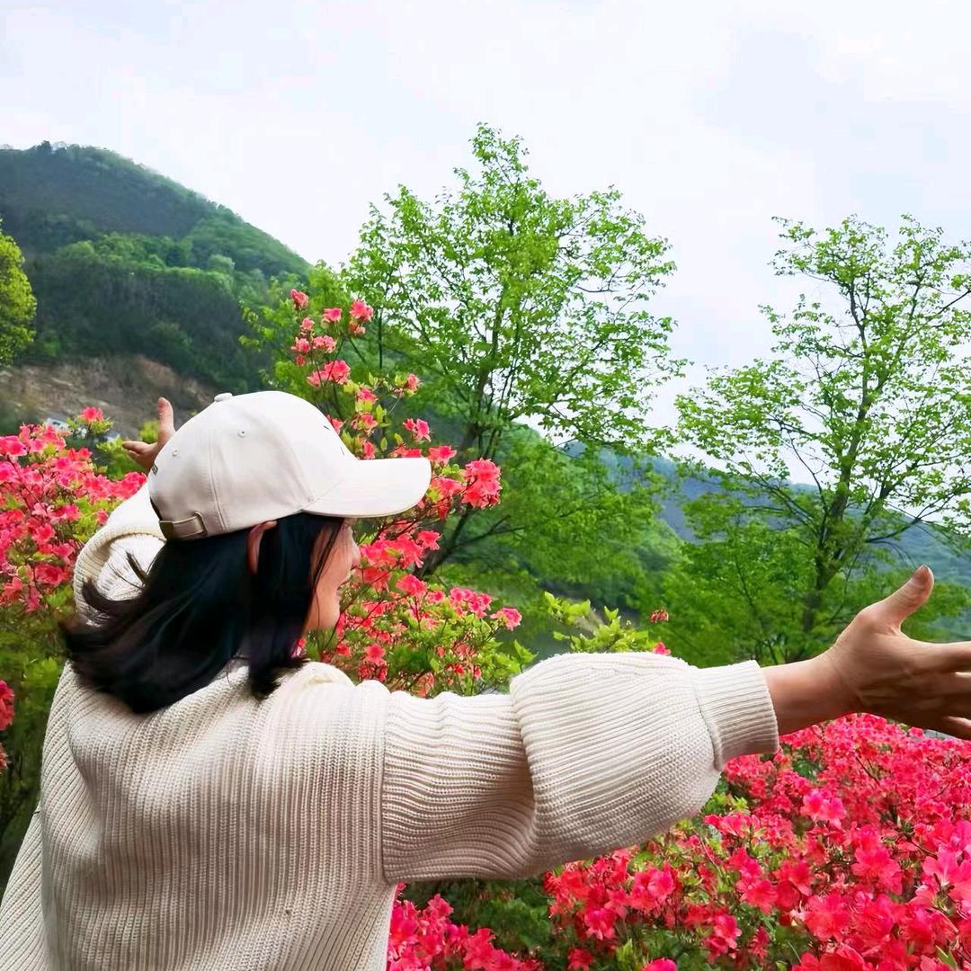 惠质兰心